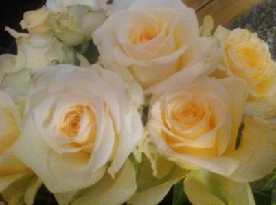 Scobie's Boutique - 16