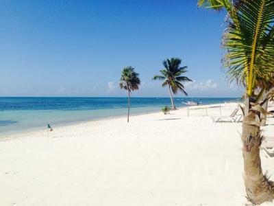 PavoReal Beach - 18