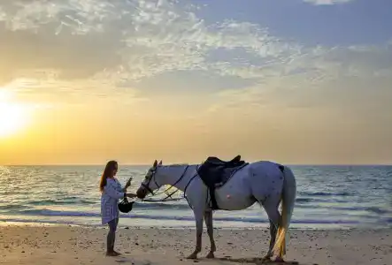 Caravana Beach Resort Al Zorah - 12