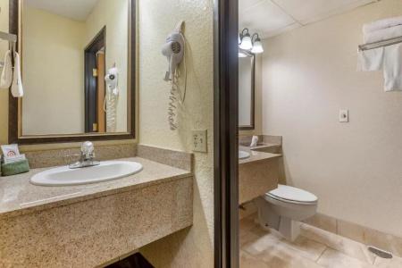 Comfort Inn at Thousand Hills - 70