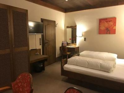 Gasthof & Goldener Hirsch - 23