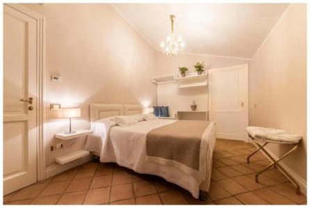 Boutique - Lodge & Suites - 30