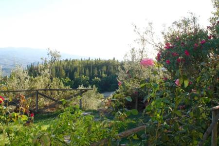 Poggio Al Vento - 40