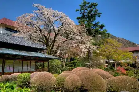 Yoshiike Ryokan - 8