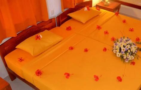 Eva Lanka - Beach & Wellness - 29