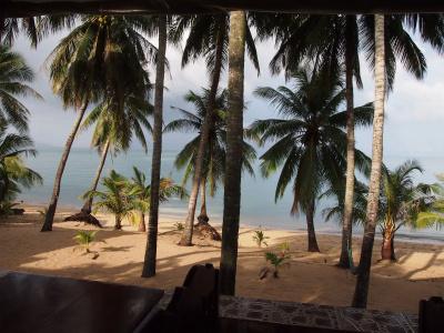Palm Point Village - 11