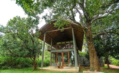 Wild Grass Nature Resort - 50