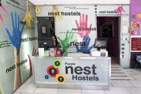 Purple Nest - 20