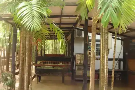Sam's Jungle - 22