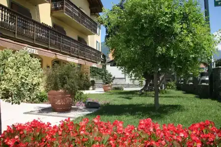 Paradise & Wellness - 20