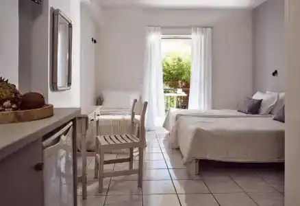 Cactus - 131
