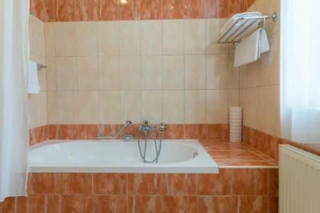 Ensana Centrální Lázně - Maria Spa - 53