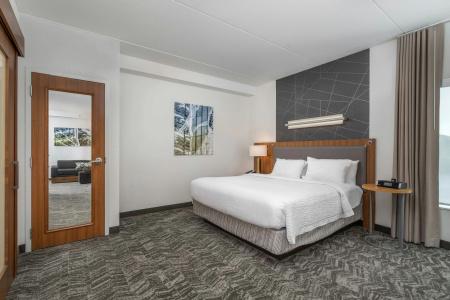 SpringHill Suites by Marriott Downtown/Cameron Harbor - 2