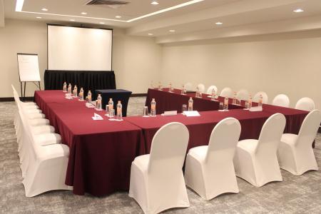 Holiday Inn Mexico Dali Airport, An Ihg - 30