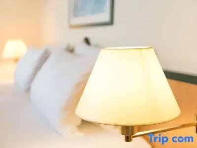 Holiday Inn Essen City Centre, An Ihg - 73