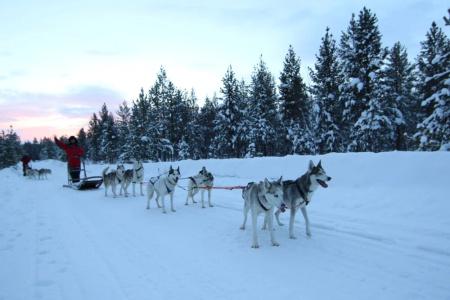 Lake Inari Mobile Cabins - 17