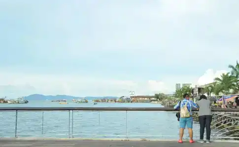 Api-Api - 18
