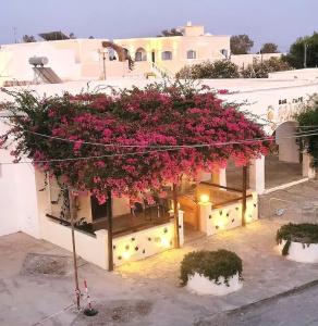 Evelina Pension! - 188