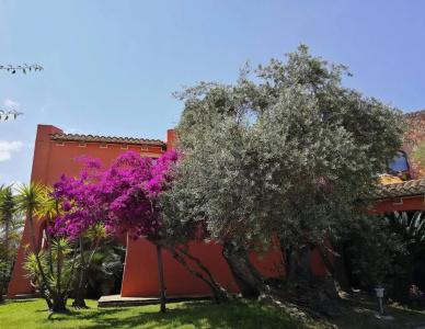 Il Vecchio Mulino - 13