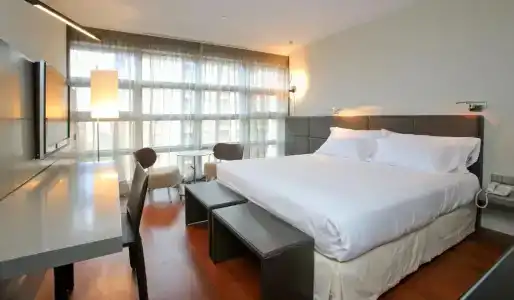 Reina Petronila - 47