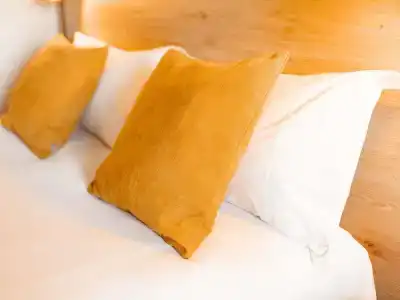 ibis Clermont Ferrand Sud Herbet - 41