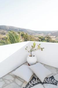 Kostantakis Winery Residence - 58