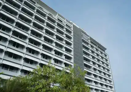 Pearl - Sha Plus - 42