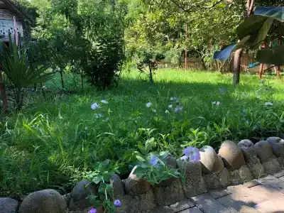 Villa la familia - 43