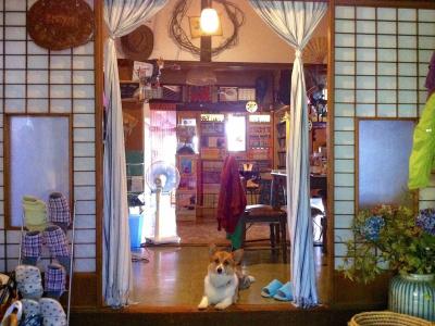 The Otarunai Backpacker's Hostel Morinoki - 17