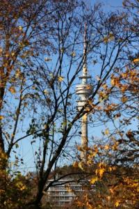 Business Suiten - 8