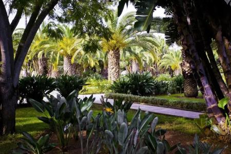 Sofitel Rabat Jardin Des Roses - 32