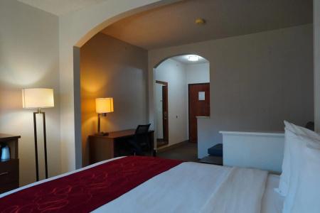 Comfort Suites Bush Intercontinental Airport - 5