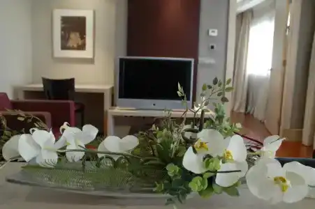 Washington Parquesol Suites & - 99