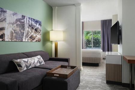 SpringHill Suites Nashville MetroCenter - 48