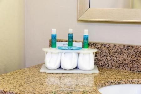 Holiday Inn Express & Suites-North, An Ihg - 50