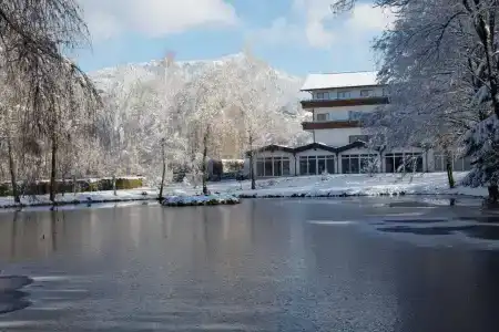 zum Hirschen - 8