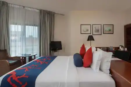 Coral Beach - 61