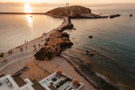 Naxos Rhyton - 19