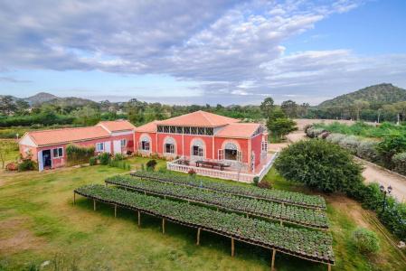 Davinci Di Khaoyai - 13