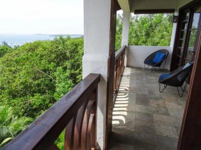 Little Tamarind - 59