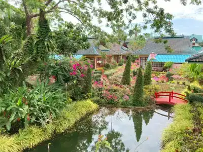 Ekman Garden - 18
