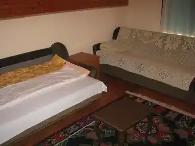 Guest house Pribojska Banja - 24