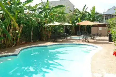 Frenchmen Orleans at 519, Ascend Collection - 13
