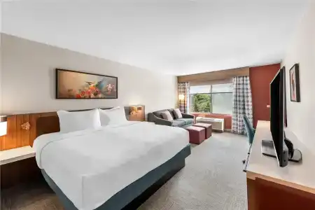 Hilton Garden Inn - 62