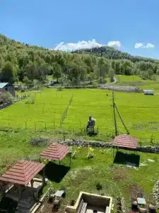 Прима - 1