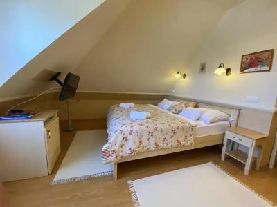 Rigótanya Relax & Wellness Bükfürdő - 98