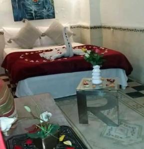 Riad Djebel - 27