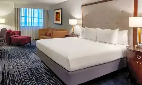 Hyatt Regency Houston Intercontinental Airport - 42