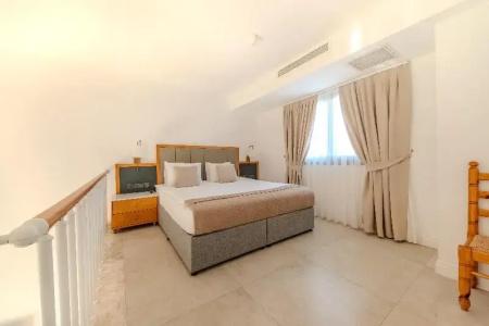 Palmonte Suite - 50