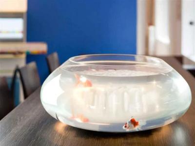ibis Styles Saint Malo Centre Historique - 13